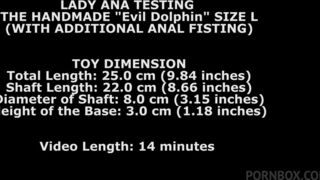 I Give A Test To The Dolphin L From Thewondertoys Uo My Ass With Also Anal Fisting