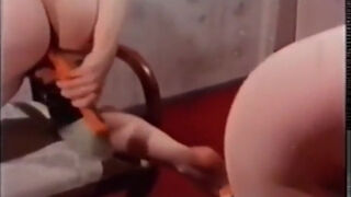 Vintage Hot Sex 313