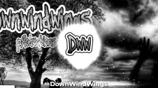 DownWindWings - Ex Rex