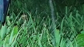Midwest milf peeing on the side of a bike path (oc).