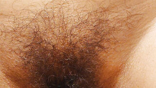 THE INTIMATE LIFE OF A HAIRY HOUSEWIFE
