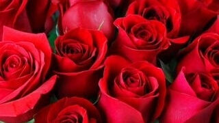 bangla choto golpo beautiful aunty midnight fuck hot choti golpo new full Bangla choti story