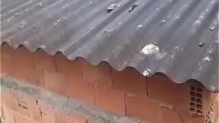 Mandei um amigo gravar eu fudendo minha tia casada